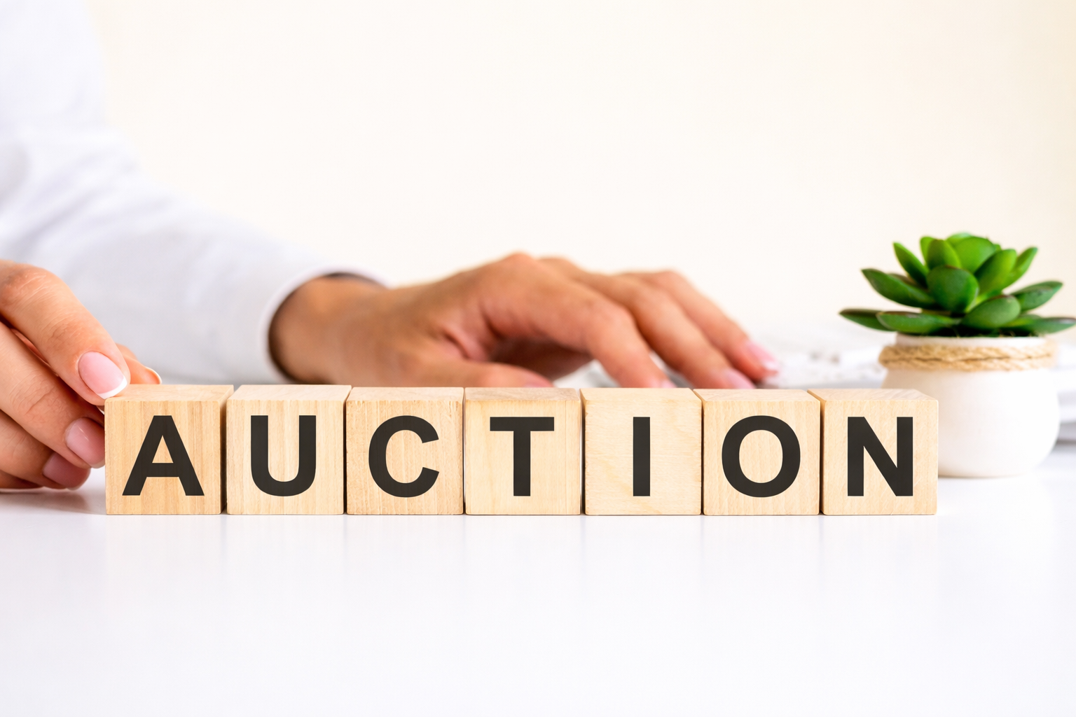 Auction